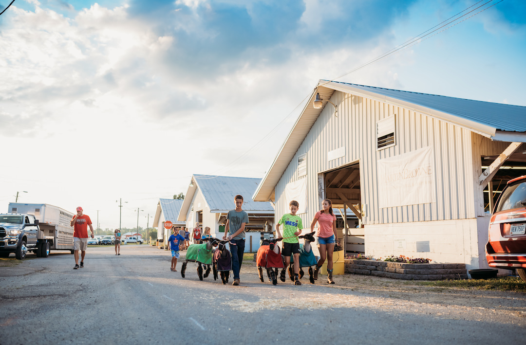 Clark County Fairgrounds | Springfield Ohio